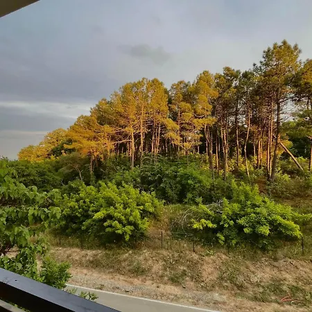 One Bedroom In G Life * Sozopol